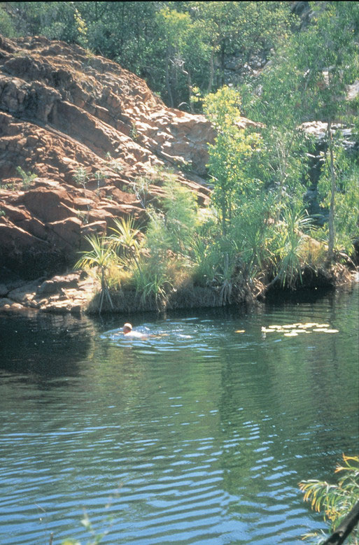 top of edith falls courtesy of NTTC Northern Territory tourism for Katherine regional tourism