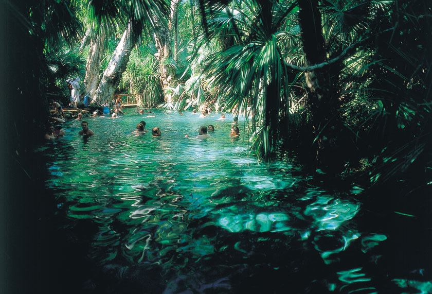 Mataranka thermal pools courtesy of NTTC Northern Territory tourism for Katherine regional tourism 